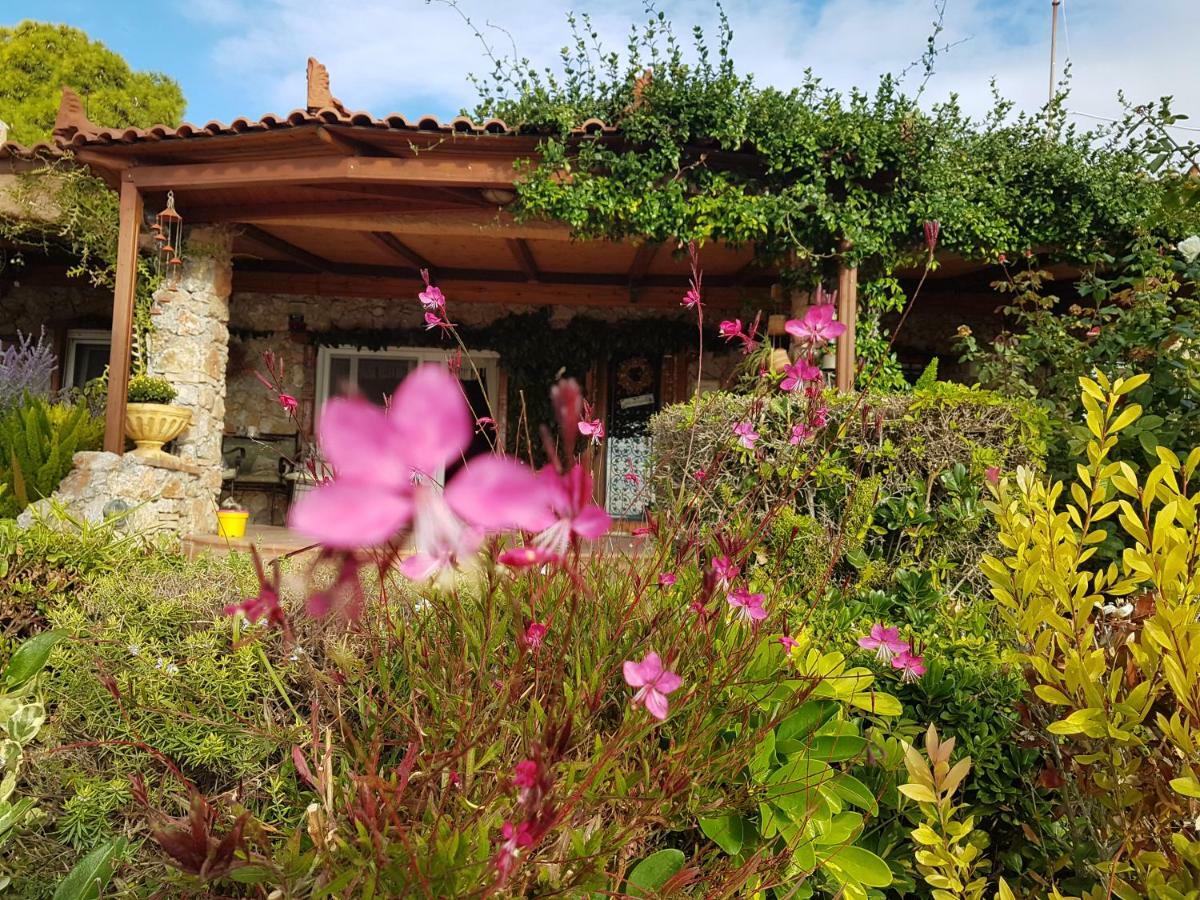 Nadia'S Traditional Greek House Anavyssos Exterior foto